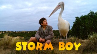 Voir Storm boy en streaming et VOD