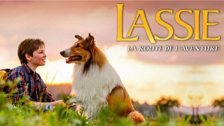 Voir Lassie, La route de l'aventure en streaming et VOD