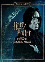 Voir Harry Potter et le prince de sang-mêlé en streaming et VOD