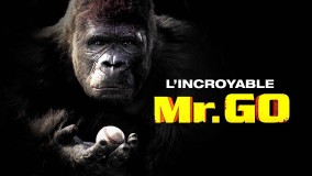 Voir L'incroyable Mr Go en streaming et VOD