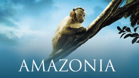 Voir Amazonia en streaming et VOD