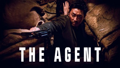 Voir The agent en streaming et VOD