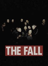Voir The Fall en streaming et VOD
