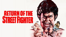 Voir Return of the Street Fighter en streaming et VOD