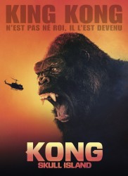 Voir Kong : Skull Island en streaming et VOD