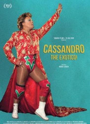 Voir Cassandro the exotico ! en streaming et VOD