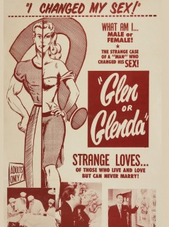 Voir Glen or Glenda en streaming sur Filmo