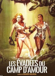 Voir Les Evadées du camp d'amour en streaming et VOD