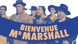 Voir Bienvenue mister Marshall en streaming et VOD