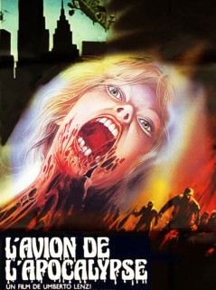 Voir L'Avion de l'apocalypse en streaming sur Filmo