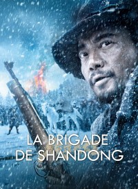 Voir La Brigade de Shandong en streaming et VOD