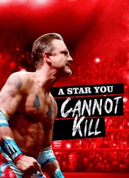 Voir A star you cannot kill en streaming et VOD