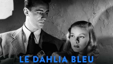 Voir Le Dahlia bleu en streaming et VOD