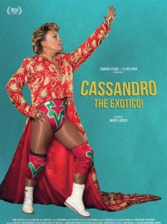 Voir Cassandro the exotico ! en streaming sur Filmo