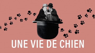 Voir Une vie de chien en streaming et VOD