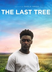 Voir The Last Tree en streaming et VOD