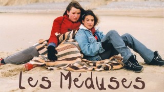 Voir Les Méduses en streaming et VOD