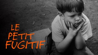 Voir Le petit fugitif en streaming et VOD