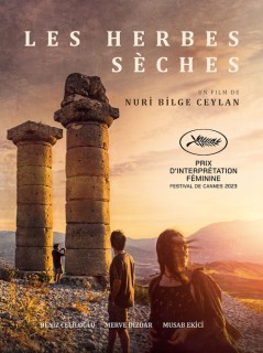 Voir Les herbes sèches en streaming sur Filmo