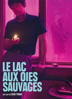 Voir Le lac aux oies sauvages en streaming sur Filmo