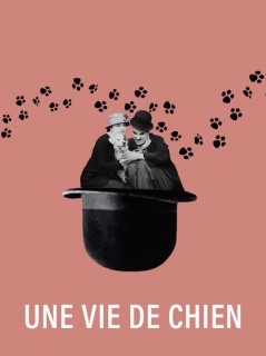 Voir Une vie de chien en streaming sur Filmo