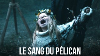 Voir Le Sang du pélican en streaming et VOD