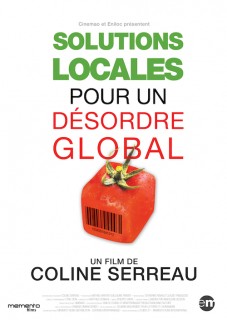 Voir Solutions locales pour un désordre global en streaming sur Filmo