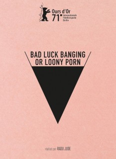 Voir Bad Luck Banging or Loony Porn en streaming sur Filmo