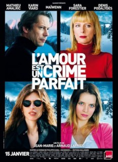 Voir L'amour est un crime parfait en streaming sur Filmo