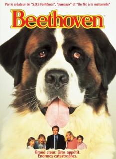 Voir Beethoven en streaming sur Filmo