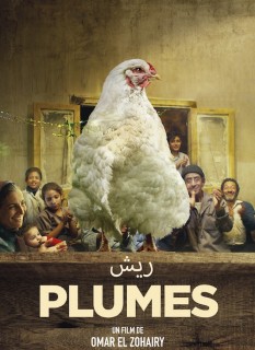 Voir Plumes en streaming sur Filmo