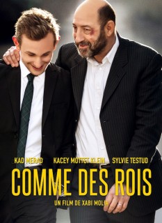 Voir Comme des rois en streaming sur Filmo