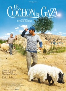 Voir Le cochon de Gaza en streaming sur Filmo