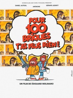 Voir Pour cent briques t'as plus rien ! en streaming sur Filmo