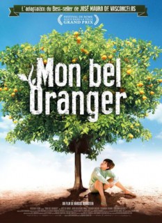 Voir Mon bel oranger en streaming sur Filmo