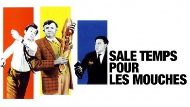 Voir Sale temps pour les mouches en streaming et VOD