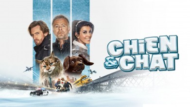 Voir Chien et chat en streaming et VOD