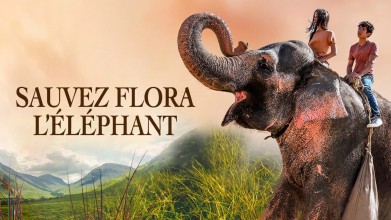 Voir Sauvez Flora l'éléphant en streaming et VOD