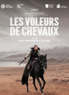 Voir Les voleurs de chevaux en streaming sur Filmo