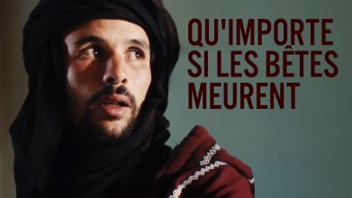 Voir Qu'importe si les bêtes meurent en streaming et VOD