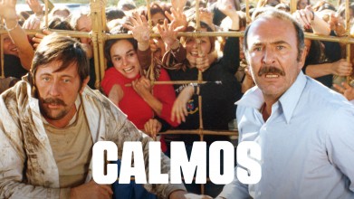 Voir Calmos en streaming et VOD