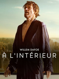 Voir A l'intérieur en streaming sur Filmo