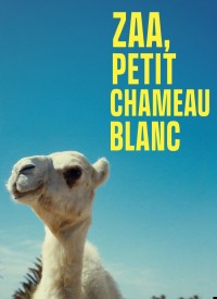 Voir Zaa, Petit Chameau blanc en streaming et VOD