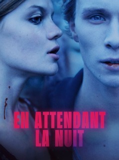 Voir En attendant la nuit en streaming sur Filmo