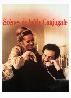 Voir Scènes de la vie conjugale en streaming sur Filmo