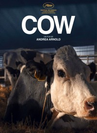 Voir Cow en streaming et VOD