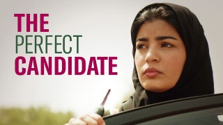 Voir The Perfect Candidate en streaming et VOD