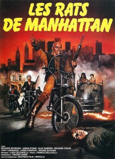 Voir Les rats de Manhattan en streaming sur Filmo