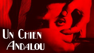 Voir Un chien andalou en streaming et VOD