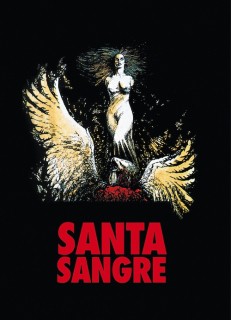 Voir Santa sangre en streaming sur Filmo